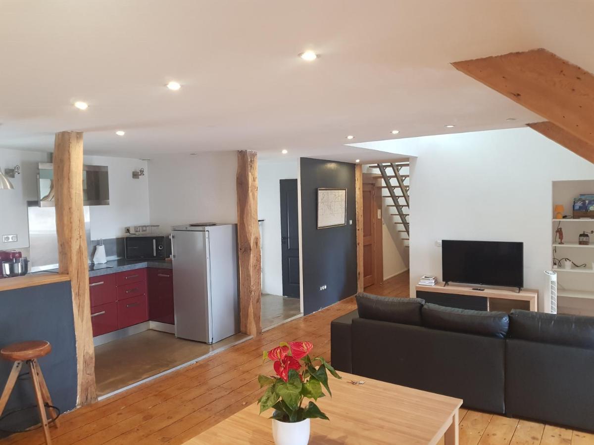 Loft Dans Les Pyrenees Apartment Oloron-Sainte-Marie Exterior photo